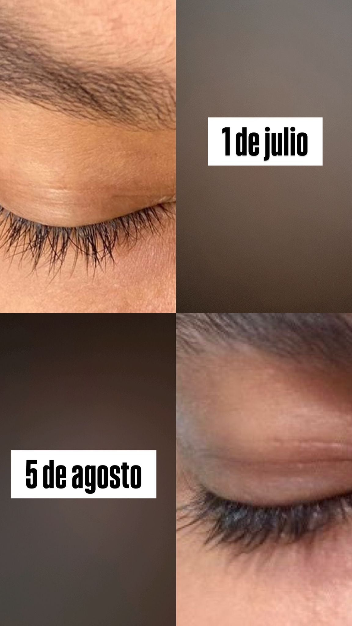 Serum natural para estimular el crecimiento de tus pestañas y la cejas